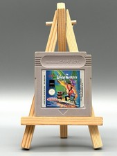 The Pagemaster Nintendo