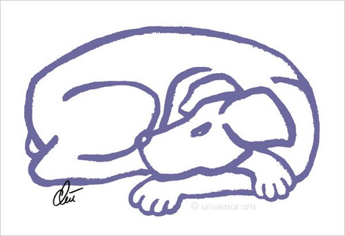 Jacqueline ditt dog blue - ditt,