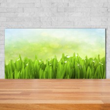 Küchenrückwand Spritzschutz