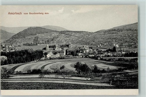 10472710 8762 amorbach - 8762,