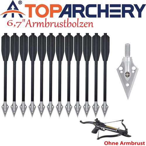 12x zoll bogenschießen - 6.7,