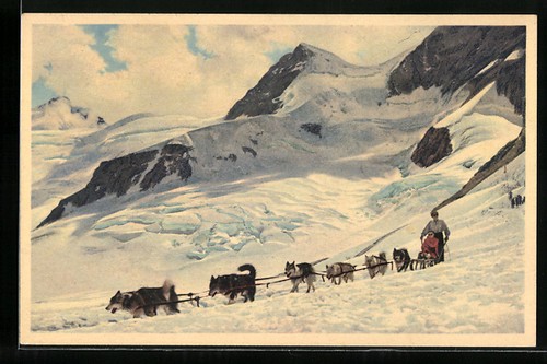 Jungfraujoch dame als - ak,