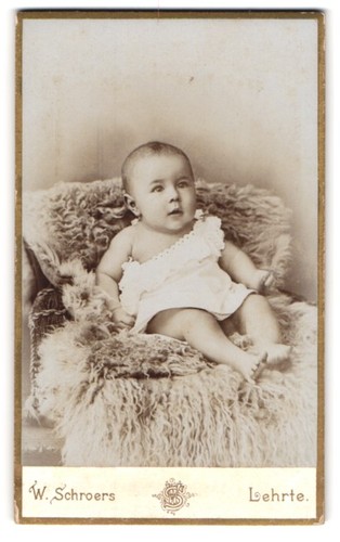 Fotografie schroers - fotografie, w.