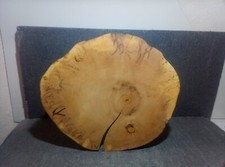 XL Große Baumscheibe, Holzdeko, Bastelholz, Couchtisch, Floristik,Ahorn,L:48,3cm