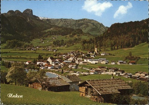 Unken teilansicht - unken,