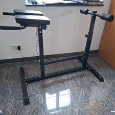 Physionics® Rückentrainer 6-stufig Rückenstrecker Hyperextension Trainingsbank