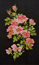 Kreuzstich Kreativ Set Little