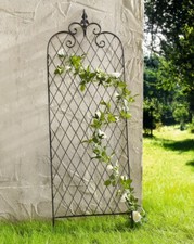 Rankgitter Rankhilfe