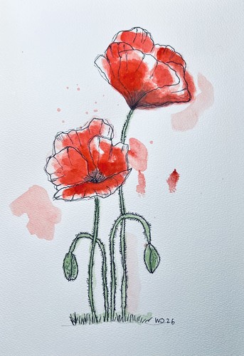 Original aquarell mohnblumen - aquarell,