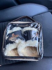 Kentucky Schaffell Spring