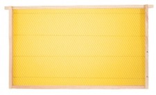 10 Stück Dadant US Rähmchen