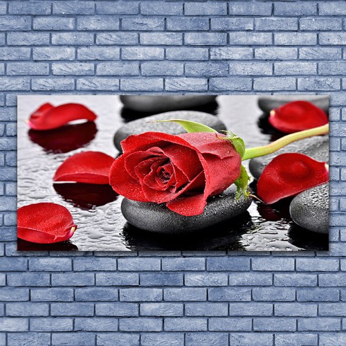 Acrylglasbilder wandbilder aus - acrylglasbilder,