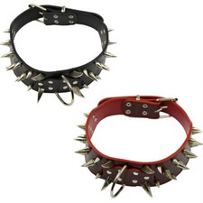 Halsband Hundehalsband