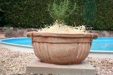 terracotta Tontopf Terrakotta