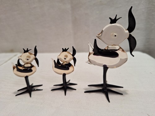 Vogel bird singvogel 8 - ,