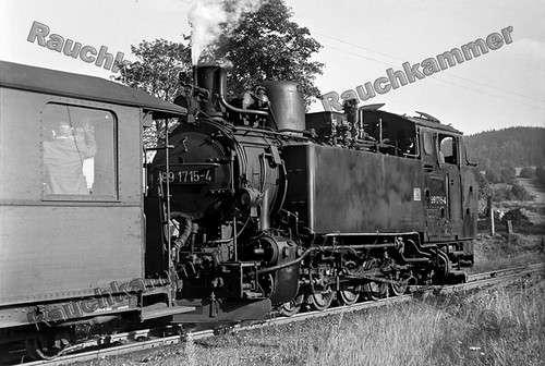 Fotoabzug 10x15 99 - pe-fotoabzug,