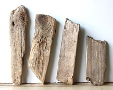 Treibholz Schwemmholz