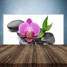 Küchenrückwand aus Glas ESG