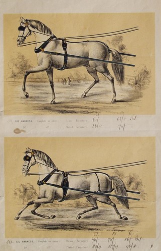 Scheuklappen anspannung - scheuklappen,