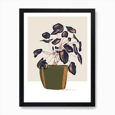 Pilea Peperomioides Kunstdruck