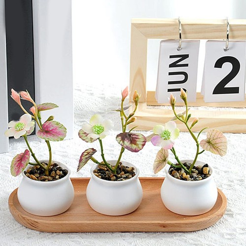Nstliche kamelie bonsai - k��nstliche,