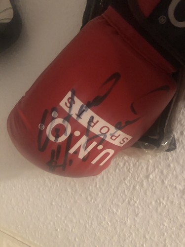 Boxhandschuhe vitali klitschko - vitali,
