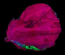 Achat - Cubuk - Türkei -