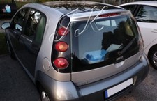 Roof Spoiler Wing for Smart