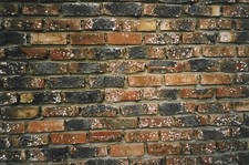 Orig. Feldbrandsteine BH575 "Die krummen Hunde" Feldbrand-Klinker