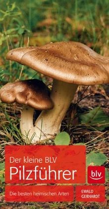 Der kleine blv pilzführer - kleine, von