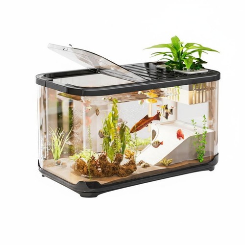 Schildkrötenbecken mit