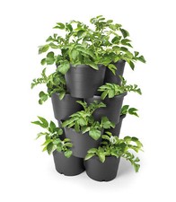 Tomaten Pflanz Turm 65 x 42 cm