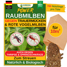 Raubmilben gegen Trauermücken