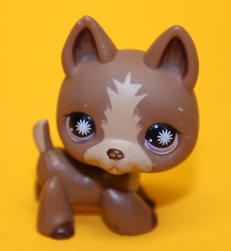 Hasbro littlest pet - hasbro, hund