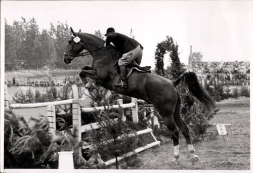Foto springreiten sprung - ak,