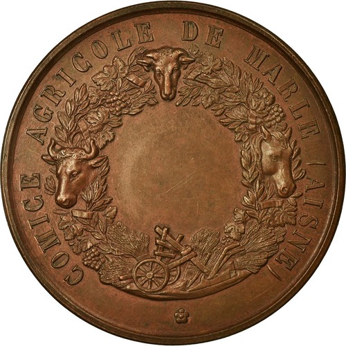 Frankreich medaille comice - frankreich,, medaille,