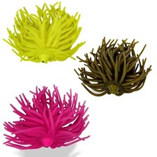 BLACK CAT REAL WORM TEASER