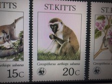 WWF - ST.KITTS - Grüne