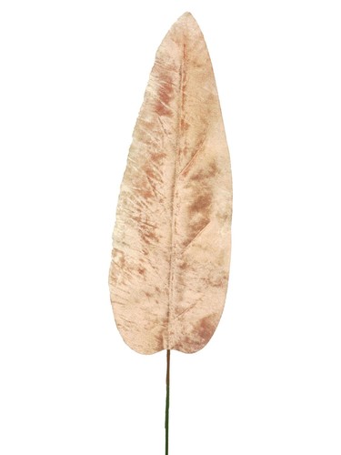 Artplants samt bananenblatt - artplants,