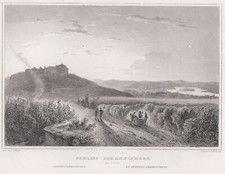 Johannisberg Original