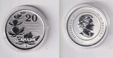 20 Dollar Silber Münze Kanada Ahornblatt 2011 polierte Platte (143627)