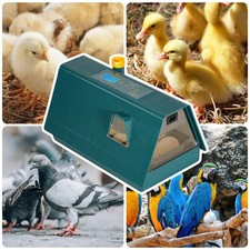 Brutmaschine Inkubator Digital