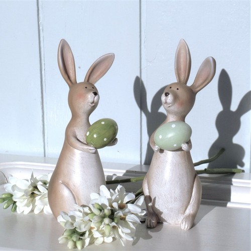 Osterhase kaninchen mit - kaninchen,