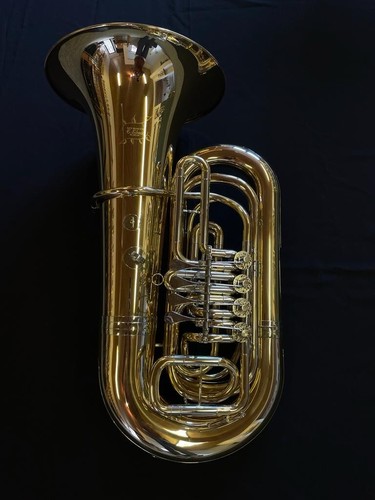 Kleingedrungene kaisertuba - kleingedrungene,