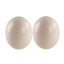 2xoriginal Straußenei-ausgeblasen -Strauß Ei Südafrika Straußeneier Natur Ostern