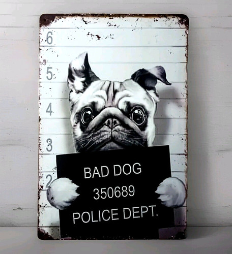 Blech metallschild bad dog - -,