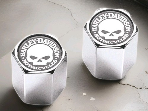 Harley davidson willie skull - harley-davidson,