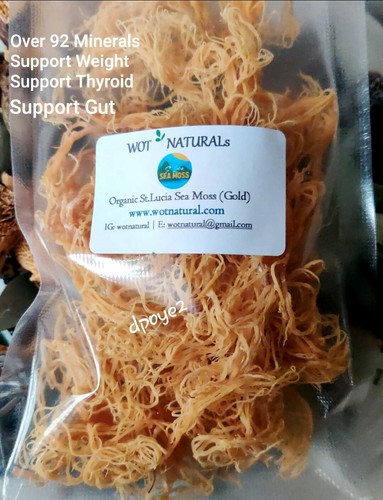 Raw sea moss - sea, gold