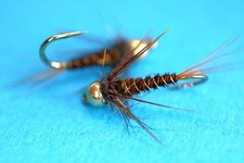 Pheasant Tail Nymphe Gr.14 und Gr.12 Qualität Fliegenfischen