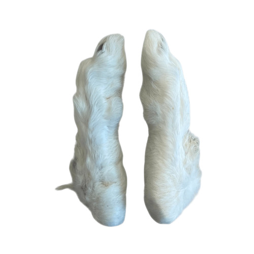 Hundekausnack kaninchenpfoten - hundekausnack,